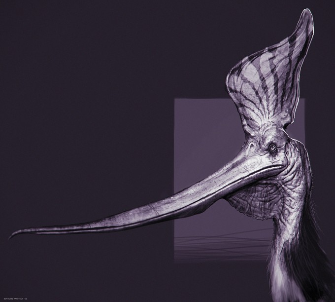 Bryan_Wynia_Art_Pteranodon-Sternbergi_Study