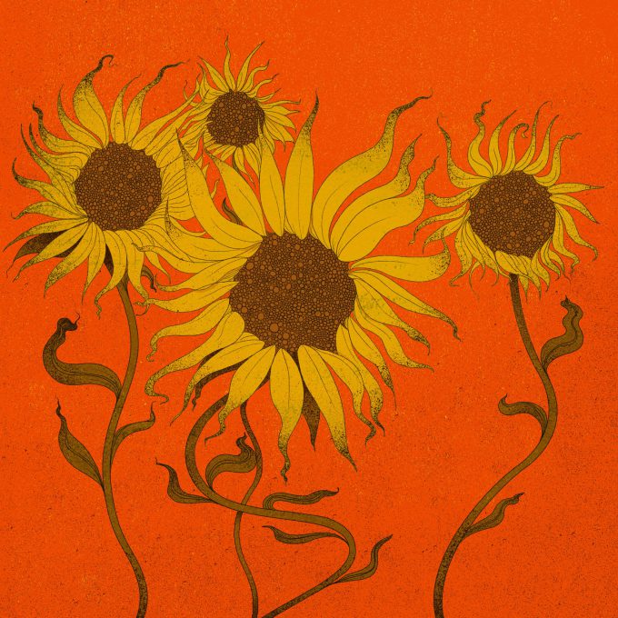 Cristina Bencina Illustration sun flowers
