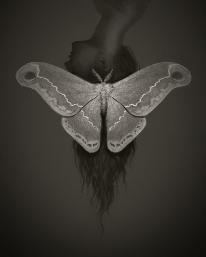 Miranda_Meeks_Art_Illustration_Moth