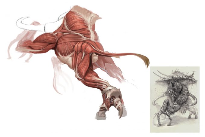 bobby-rebholz-creature-design-gargonthis-anatomy-02