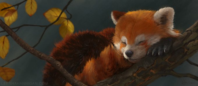 Leesha-Hannigan-Art-Red-Panda