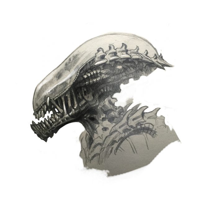 Alien Franchise Concept Fan Art 01 Marco Nelor Xenomorph Tarkatan Hybrid Head Concepts